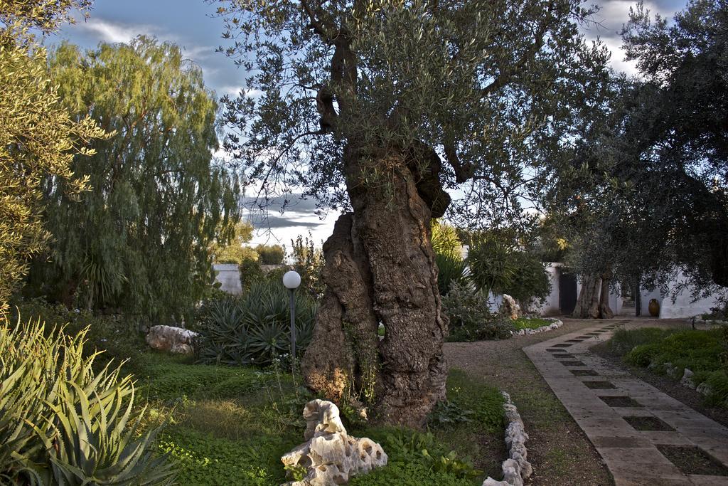 Masseria Vagone Macchia di Monte Buitenkant foto